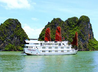 Paloma Cruise (Best Price Guarantee) - Bai Tu Long bay